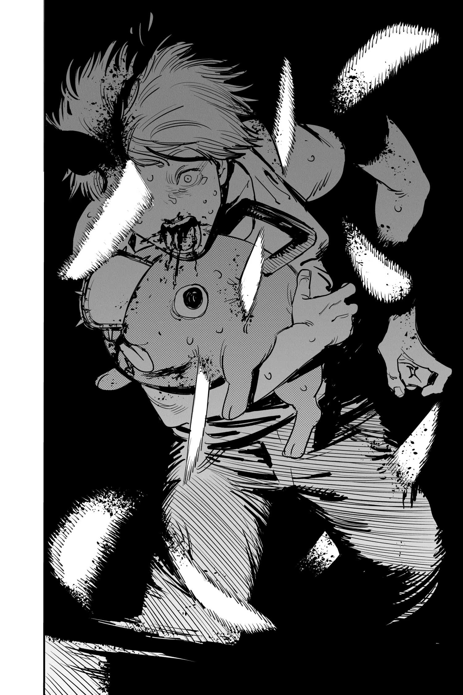 Chainsaw Man Manga β Chapter Vol 1 β Page 29