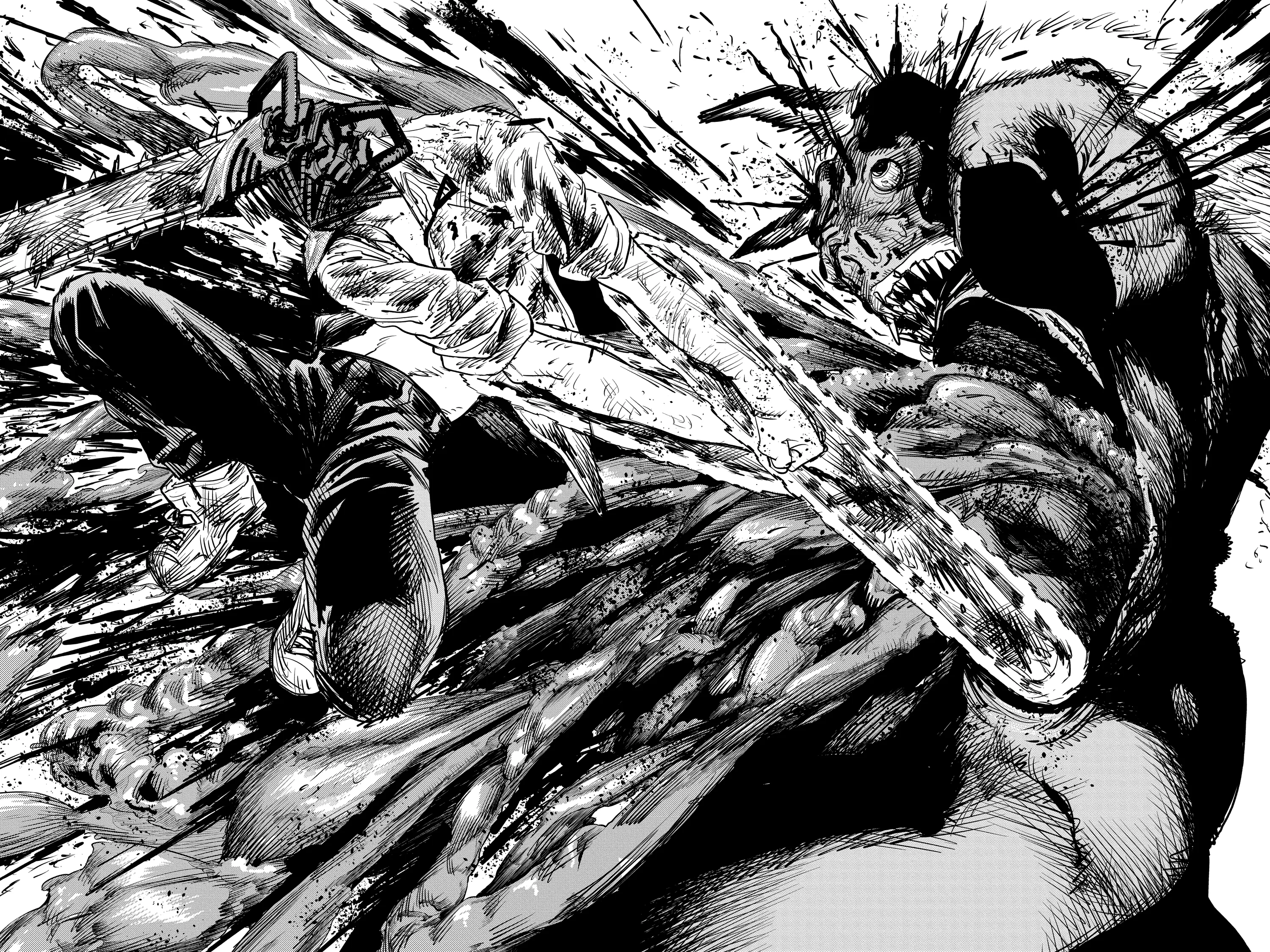 Chainsaw Man Manga — Chapter Vol 2 — Page 24