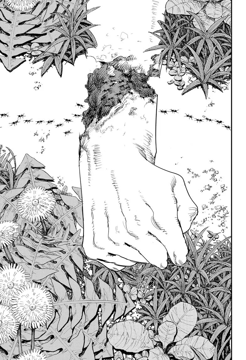 Chainsaw Man Manga β Chapter 63 β Page 17
