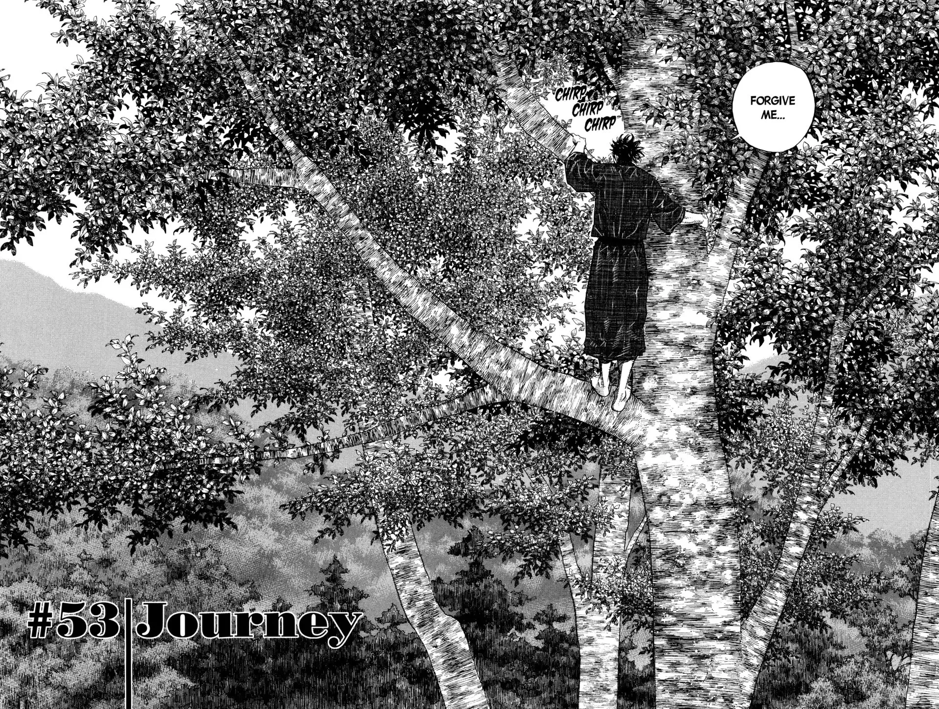 Vagabond Manga β Chapter 53 β Page 1