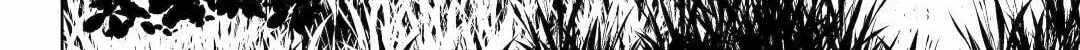 The Apothecary Diaries — Chapter 74 — Page 4