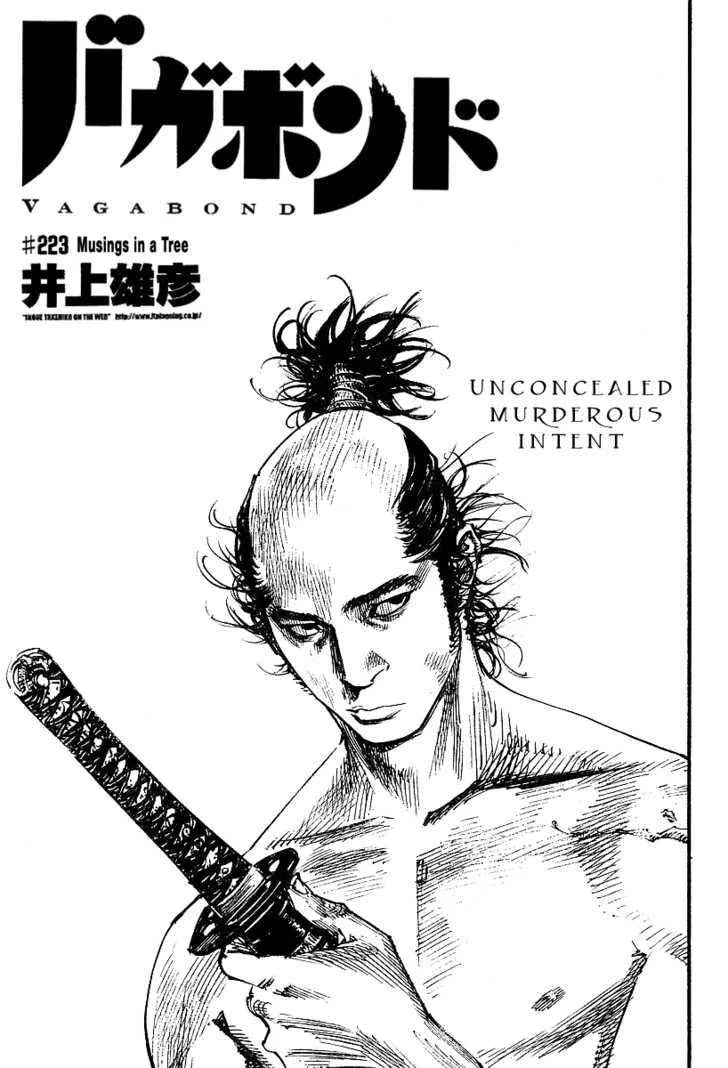 Vagabond Manga — Chapter 223 — Page 1