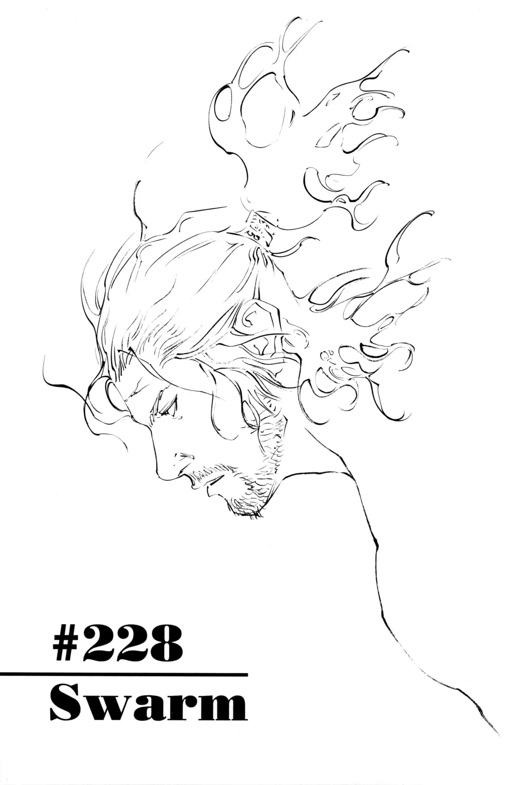 Vagabond Manga — Chapter 228 — Page 1