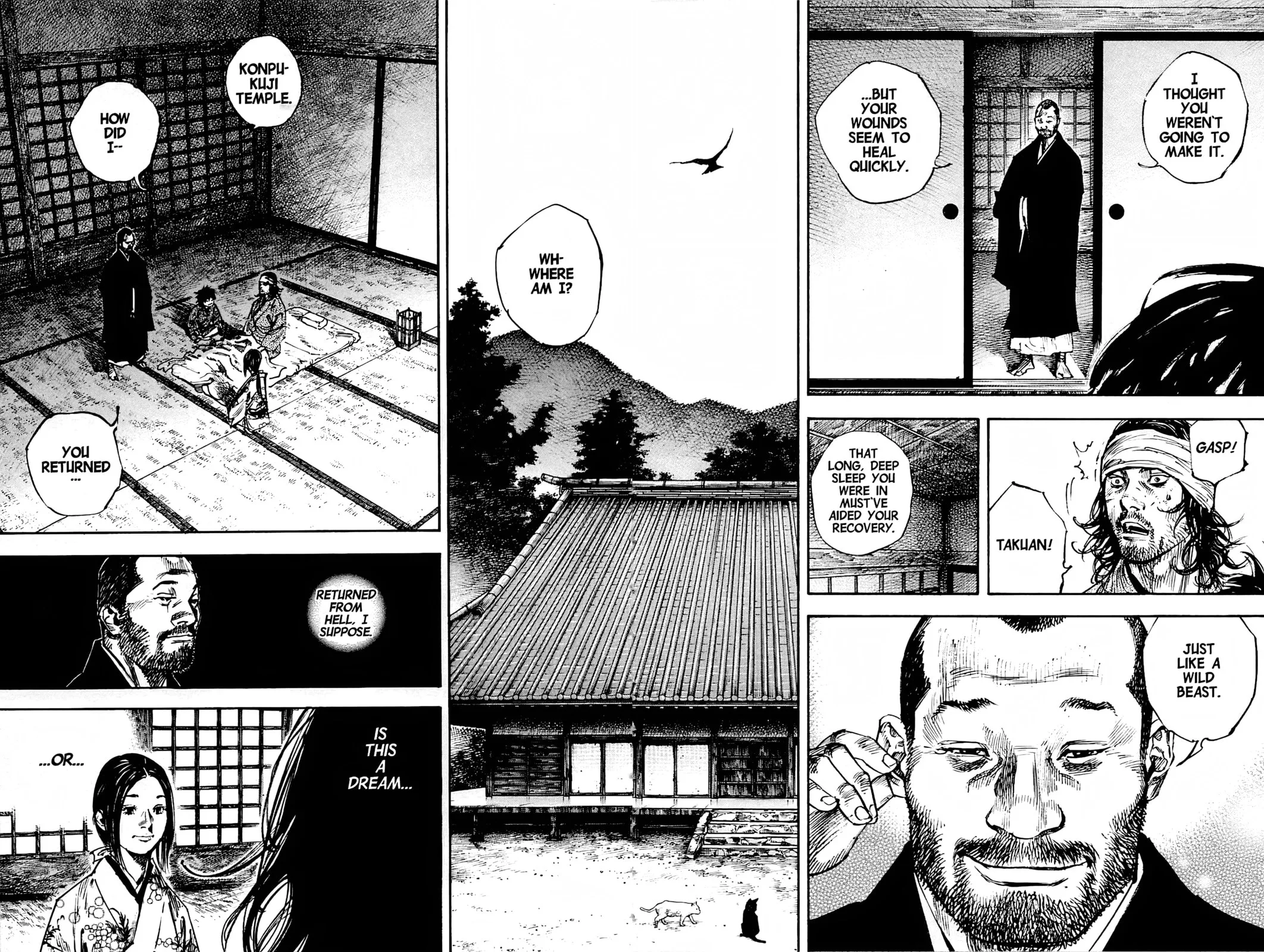 Vagabond Manga — Chapter 244 — Page 8
