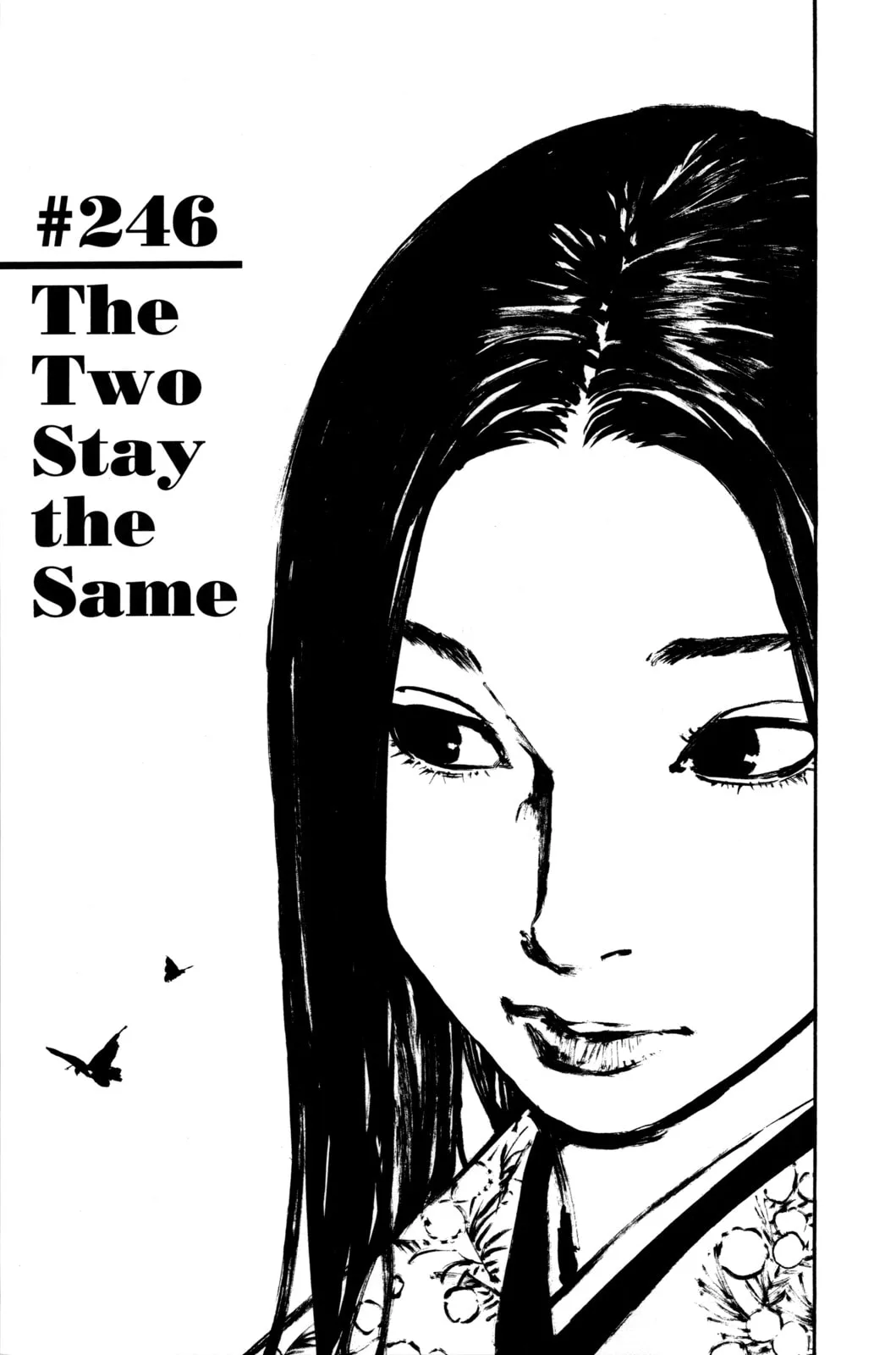 Vagabond Manga β Chapter 246 β Page 1