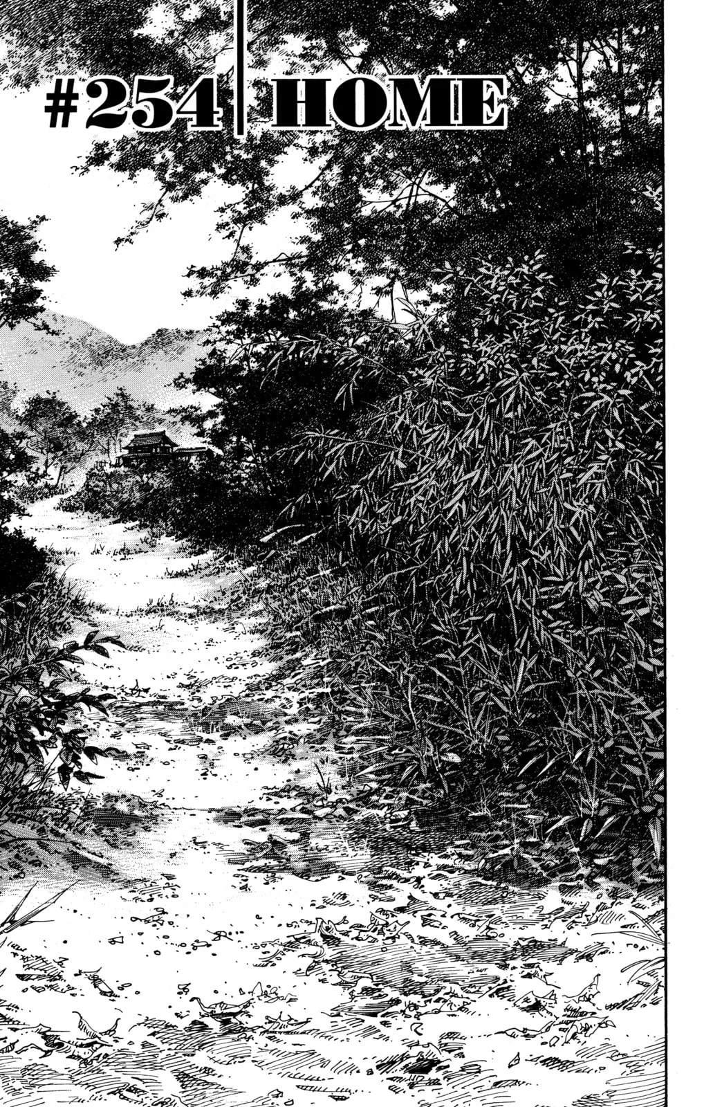 Vagabond Manga β Chapter 254 β Page 3