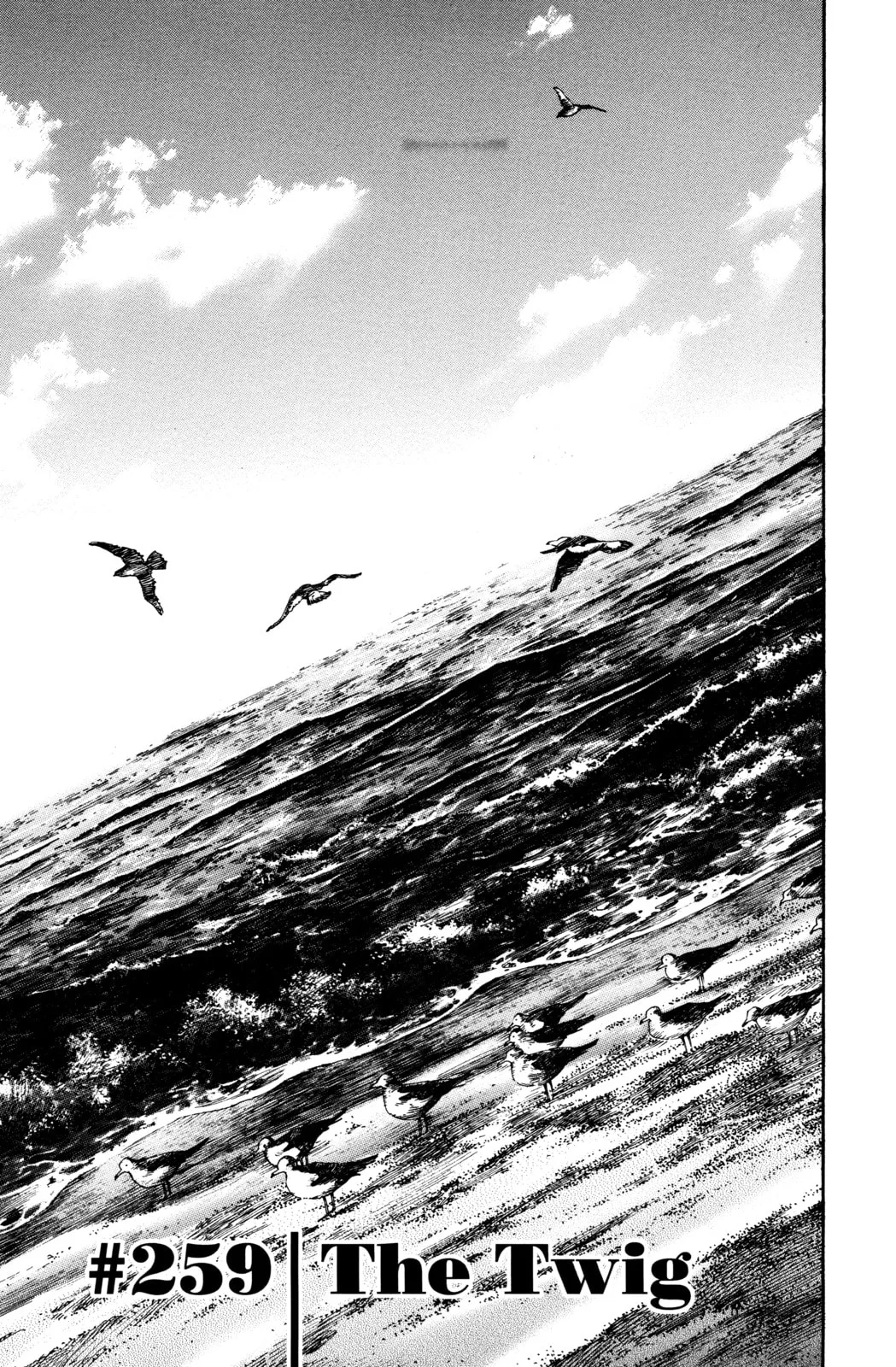 Vagabond Manga — Chapter 259 — Page 1