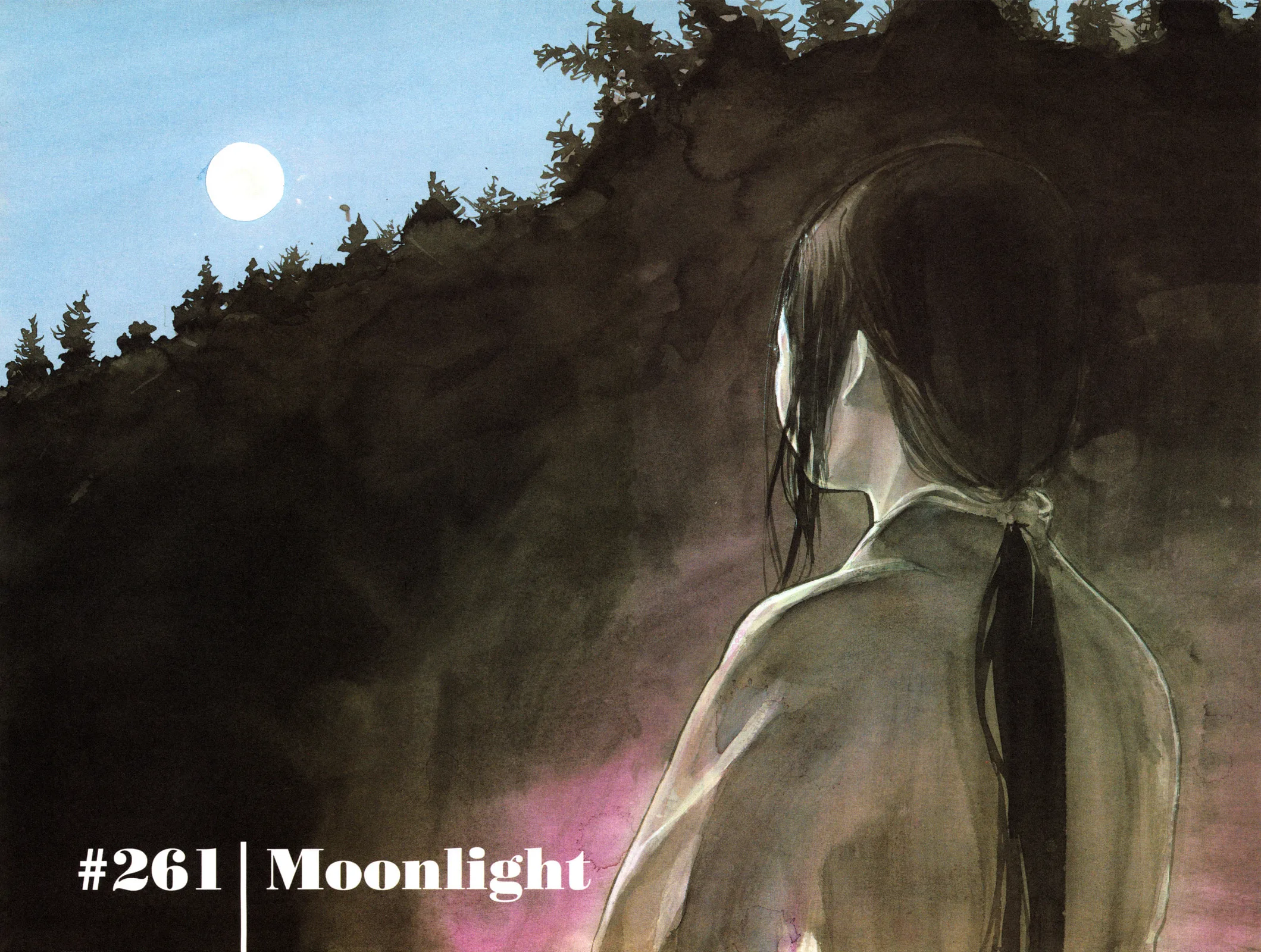 Vagabond Manga β Chapter 261 β Page 3