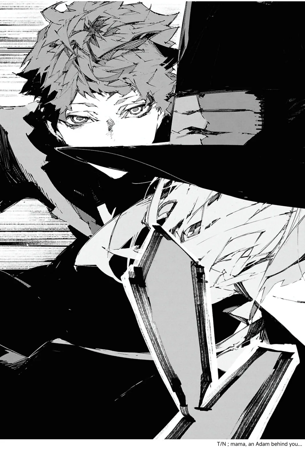 Bungou Stray Dogs: Storm Bringer β Chapter 10 β Page 14