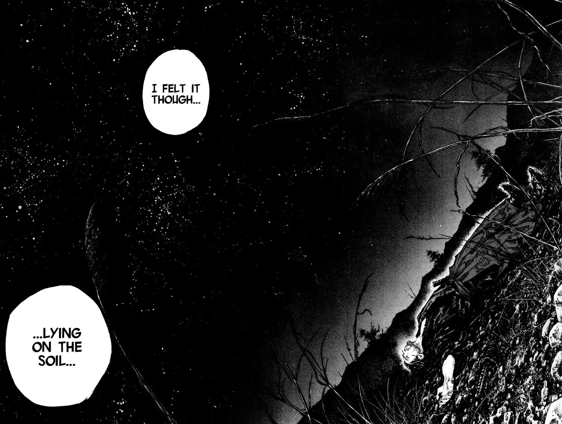 Vagabond Manga — Chapter 311 — Page 18