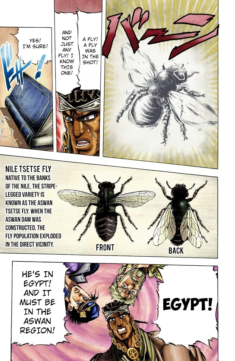 JoJo no Kimyou na Bouken Part 3: Stardust Crusaders Colored Manga — Chapter 8 — Page 17
