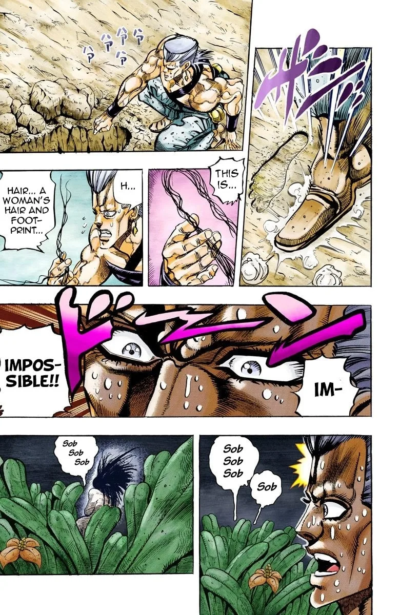 JoJo no Kimyou na Bouken Part 3: Stardust Crusaders Colored Manga β Chapter 62 β Page 17