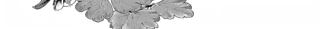 Bungo Stray Dogs — Chapter 111.5 — Page 2