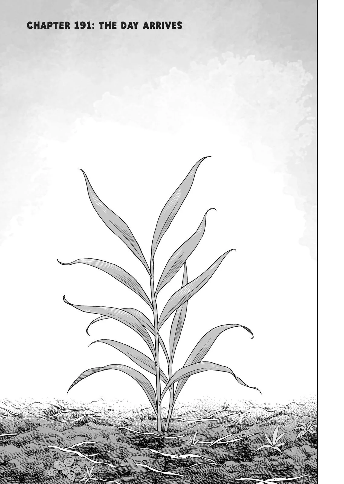 Vinland Saga β Chapter 191 β Page 1