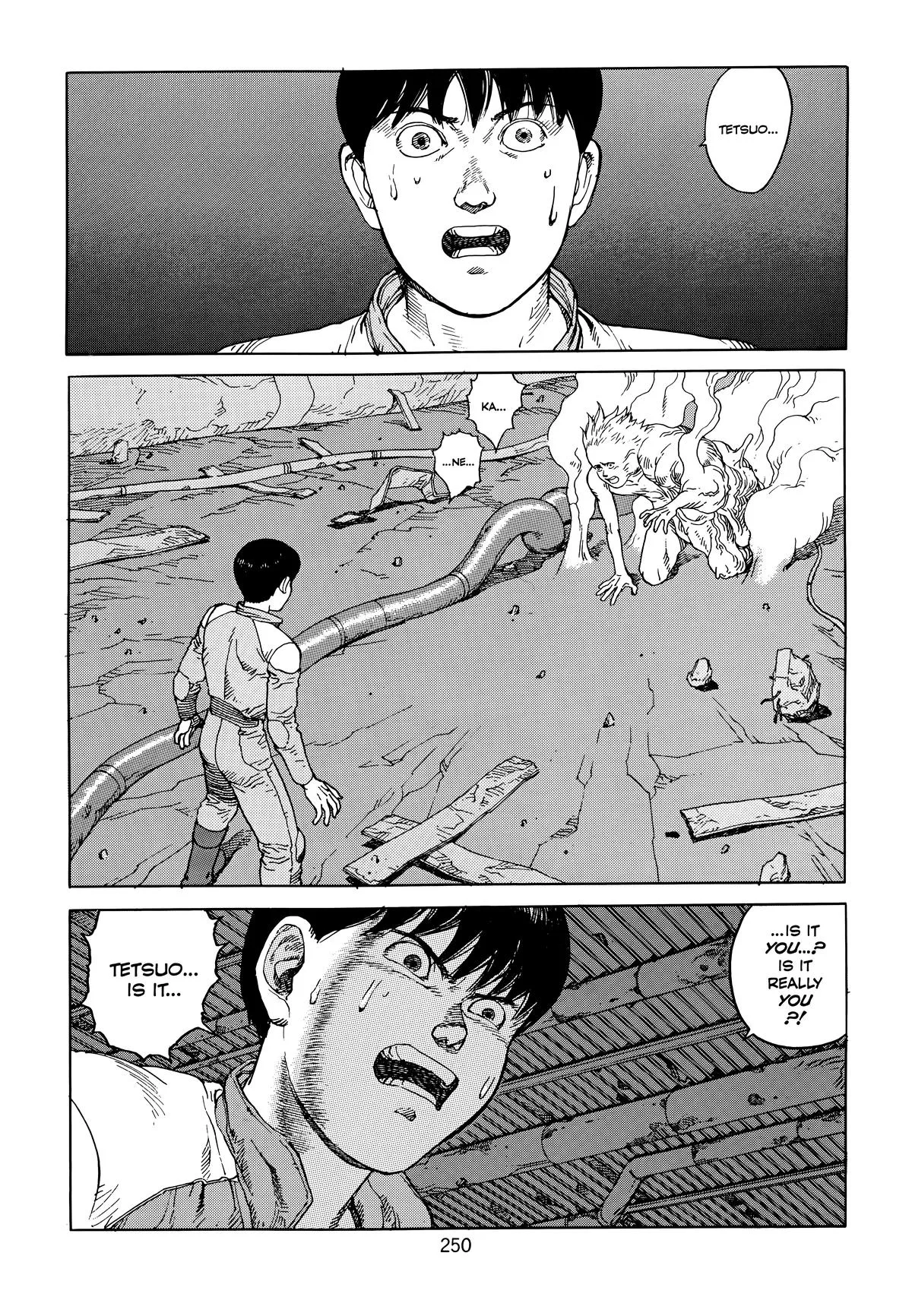 Akira — Chapter Vol 6 — Page 252