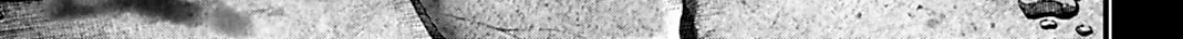 Record of Ragnarok: The Jack the Ripper Case Files β Chapter 71 β Page 41