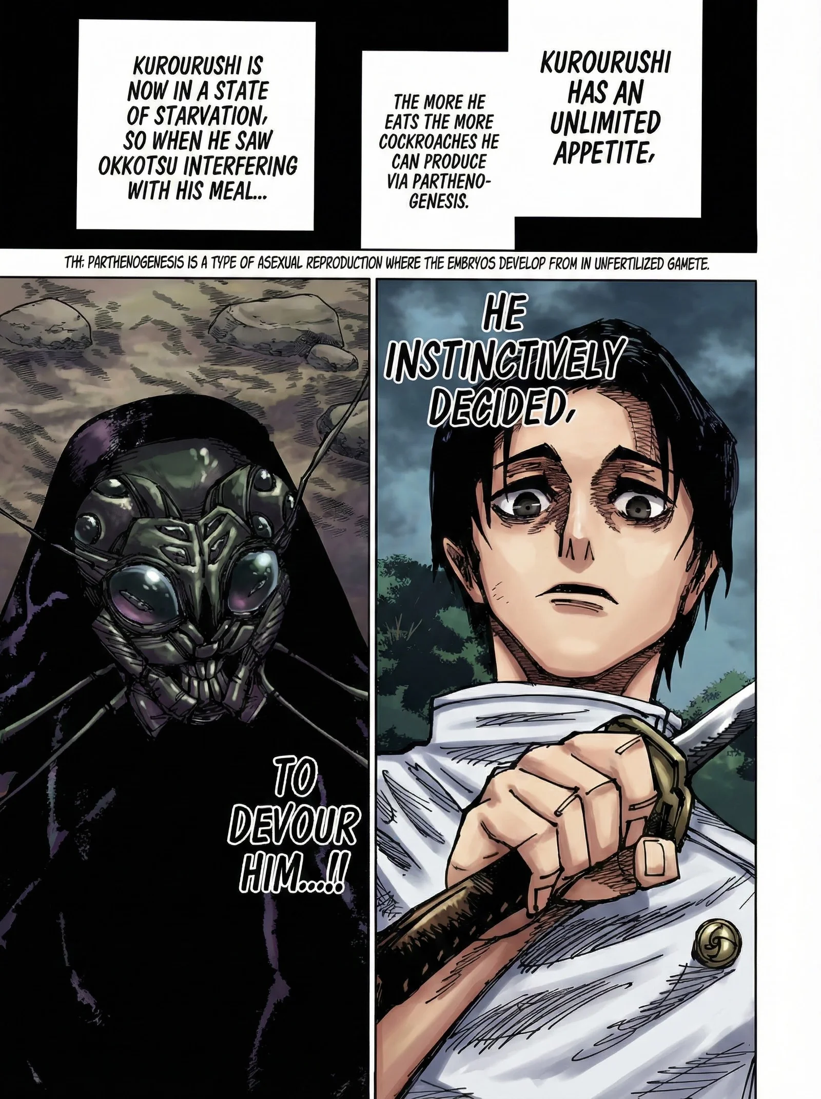 Jujutsu Kaisen Colored Manga JJK — Chapter 174 — Page 14