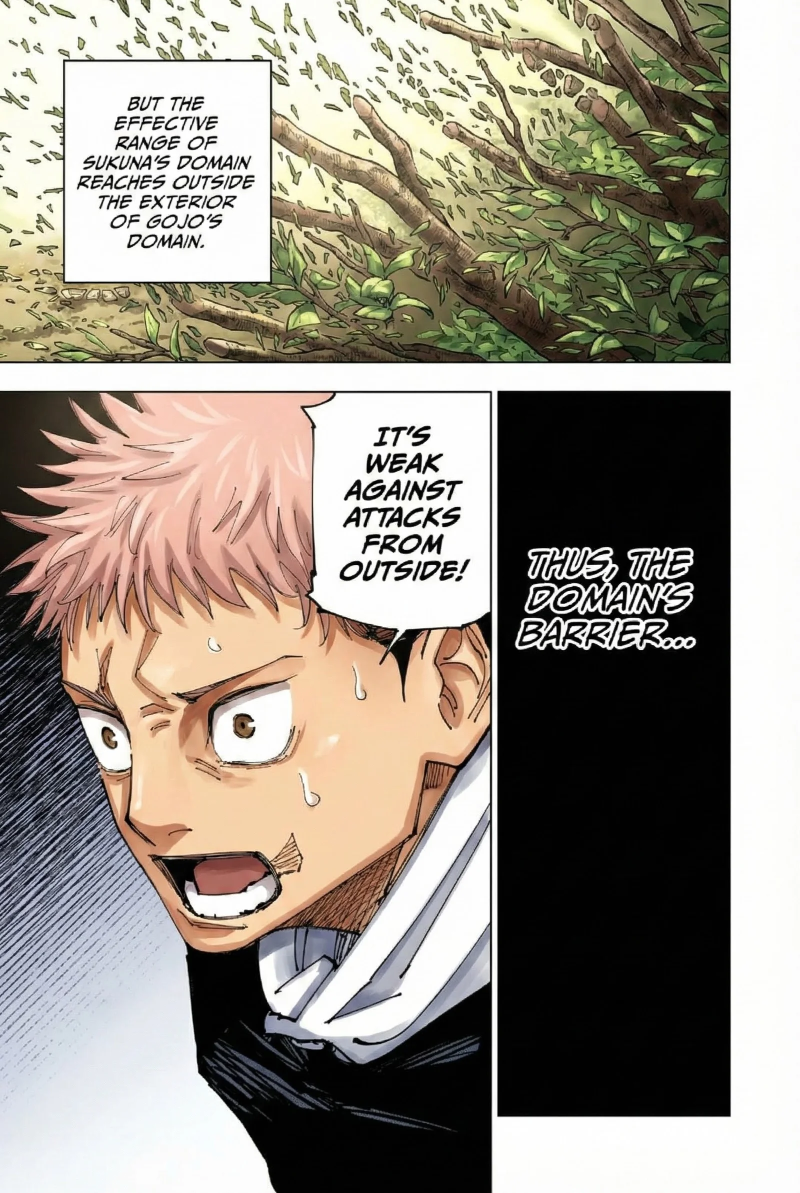 Jujutsu Kaisen Colored Manga JJK — Chapter 225 — Page 15